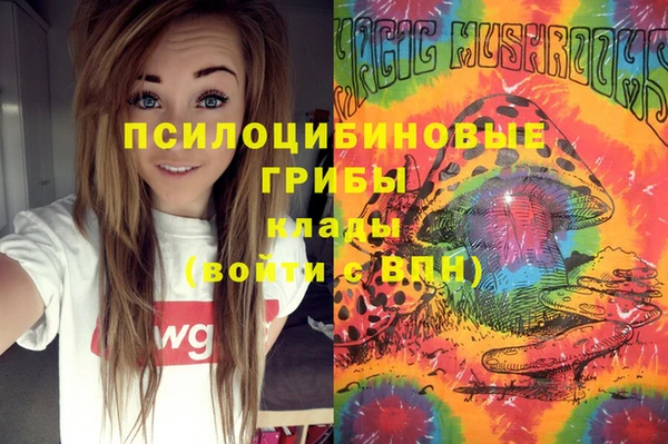 первитин Володарск