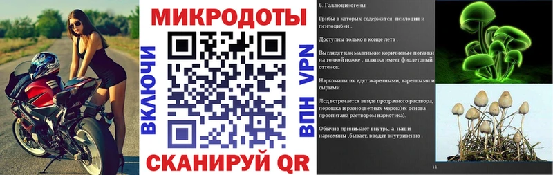 даркнет сайт Каменногорск Псилоцибиновые грибы Magic Shrooms